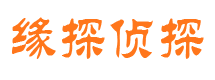 岭东市侦探公司